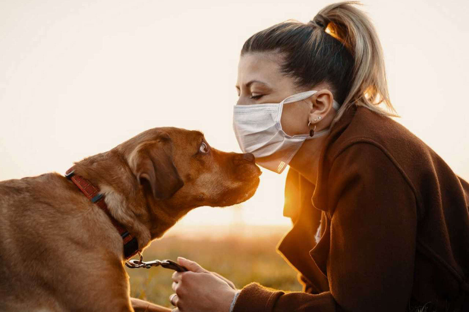Pet Muzzles HIPER ® PET